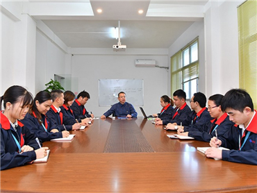 Company Team