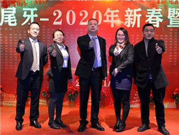 Company Team